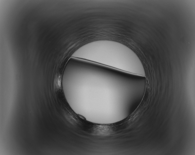 X0000086010095200703230920