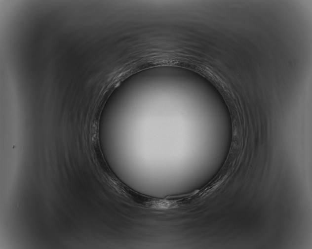 X0000086010096200703230920