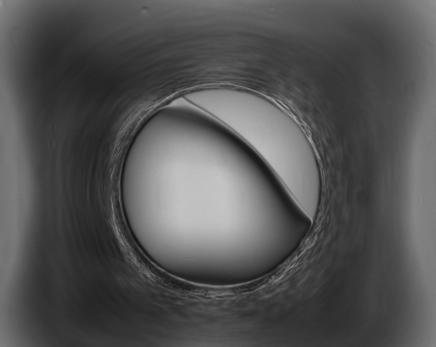 X0000086010097200703230919