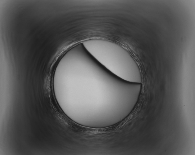 X0000086010098200703230919