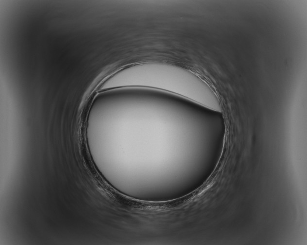 X0000086010101200703230919