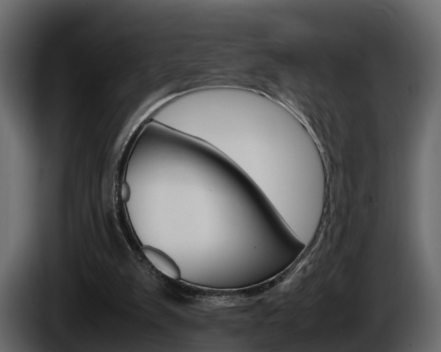X0000086010103200703230919