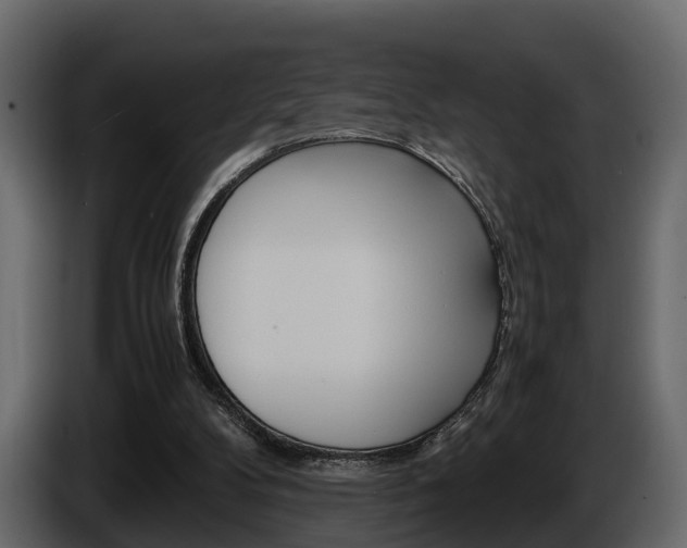 X0000086010104200703230919