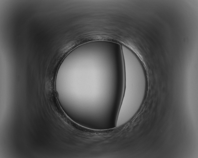 X0000086010105200703230919
