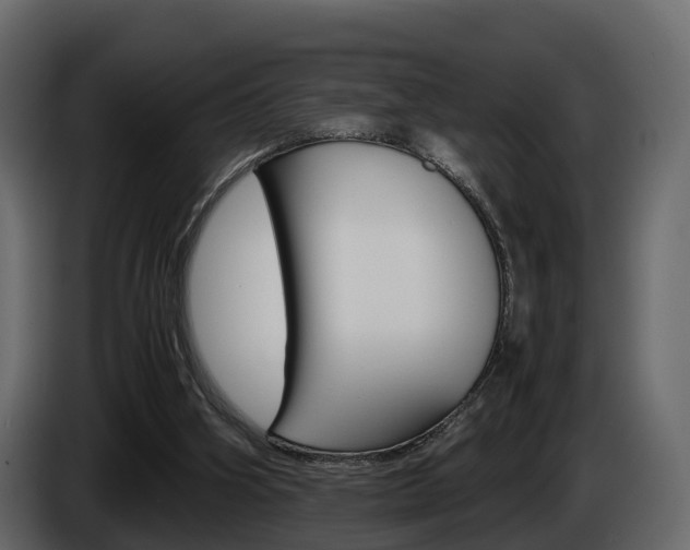X0000086010106200703230919