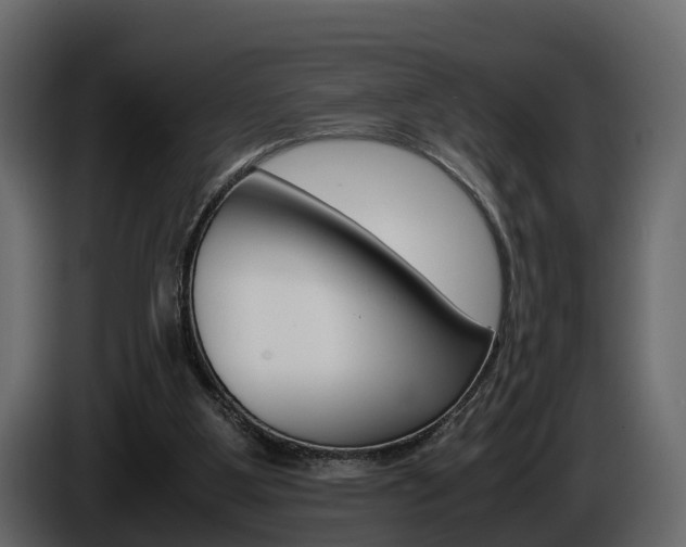 X0000086010107200703230919