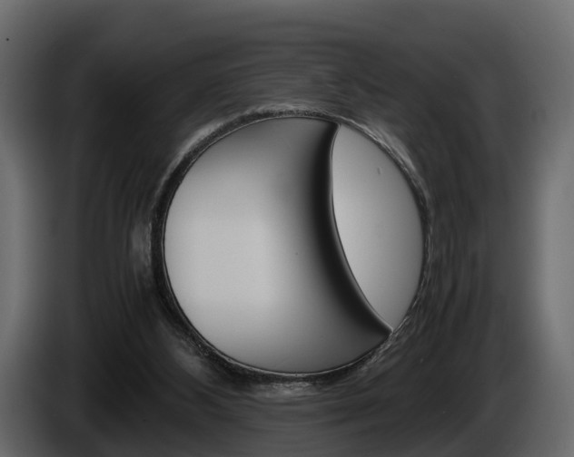 X0000086010108200703230919