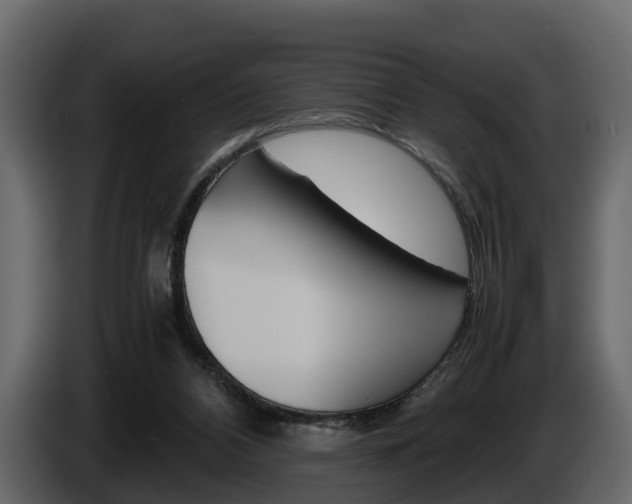 X0000086010112200703230919