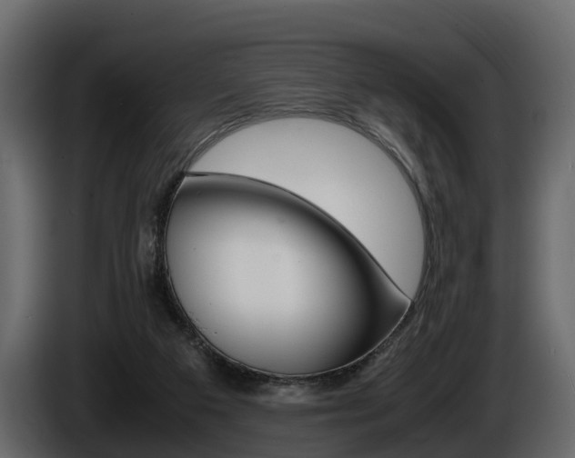 X0000086010113200703230919