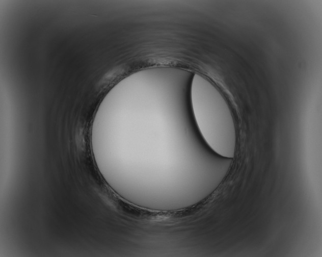 X0000086010114200703230919