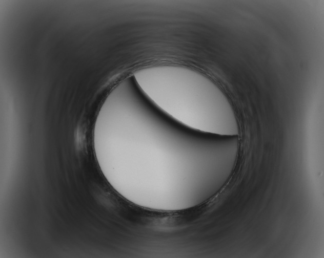 X0000086010116200703230919