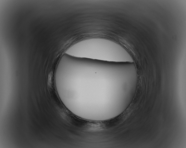X0000086010118200703230919