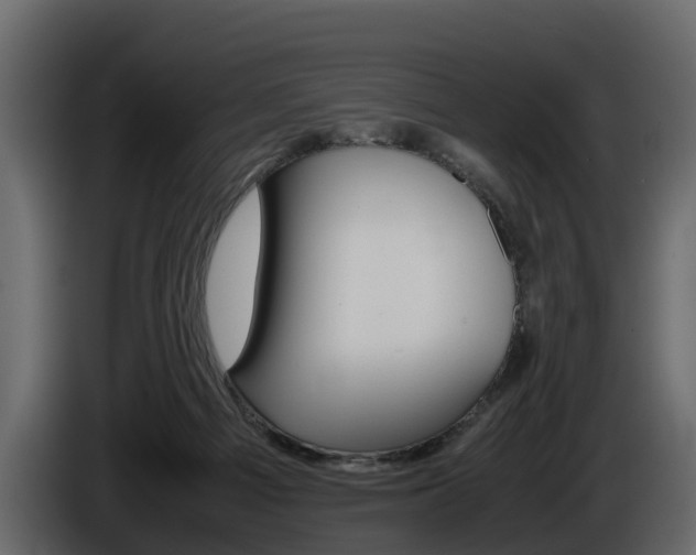 X0000086010121200703230919
