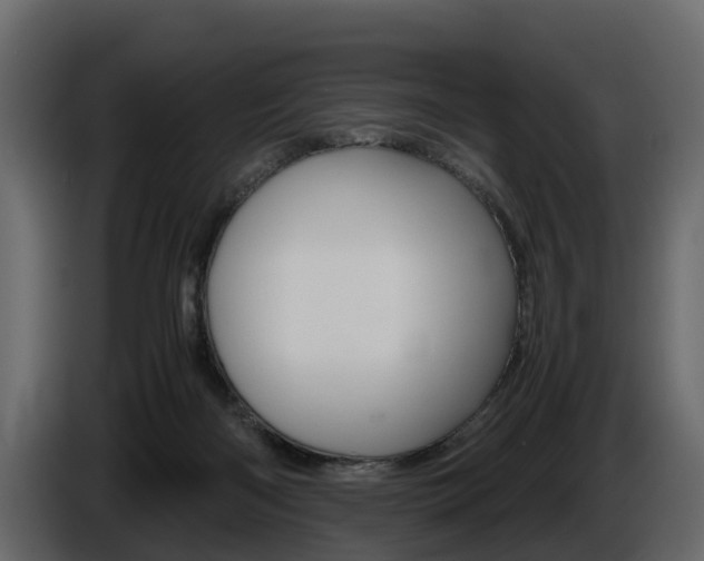 X0000086010122200703230919