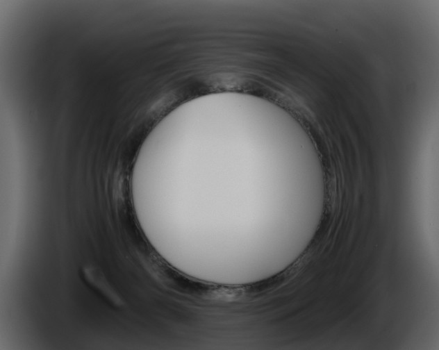 X0000086010126200703230919