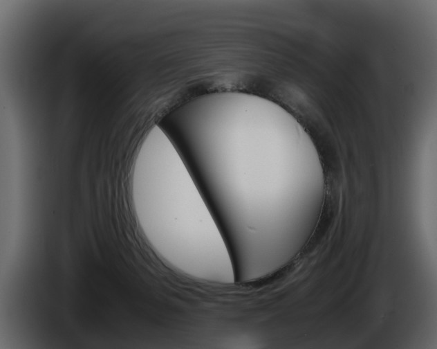 X0000086010127200703230919