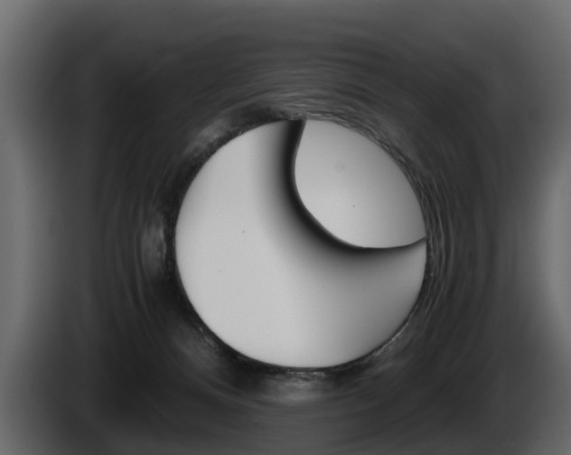 X0000086010128200703230919
