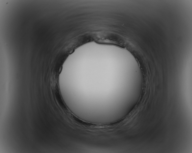 X0000086010129200703230919