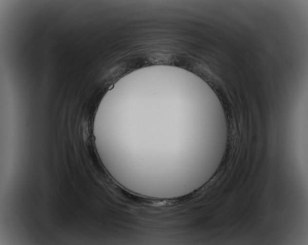 X0000086010130200703230919