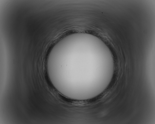 X0000086010131200703230919