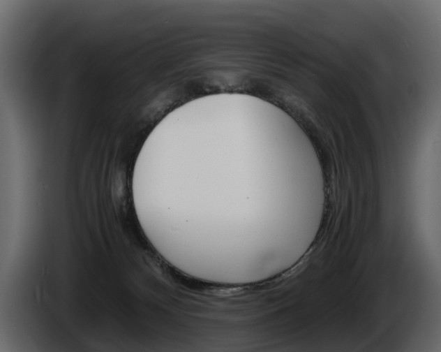 X0000086010132200703230919