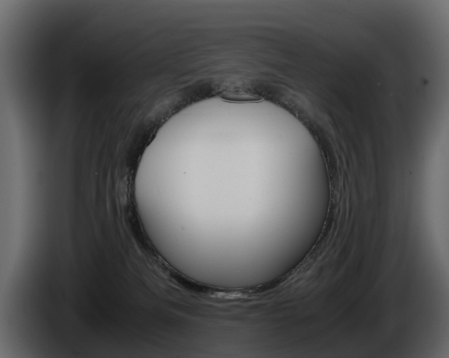 X0000086010133200703230919