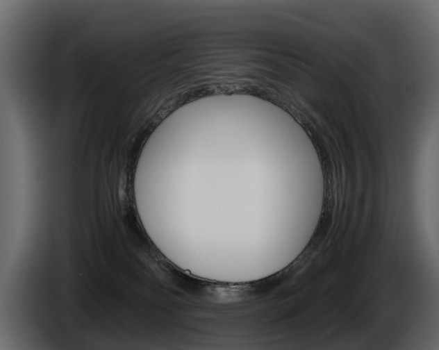 X0000086010134200703230919