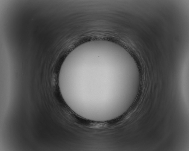 X0000086010135200703230919