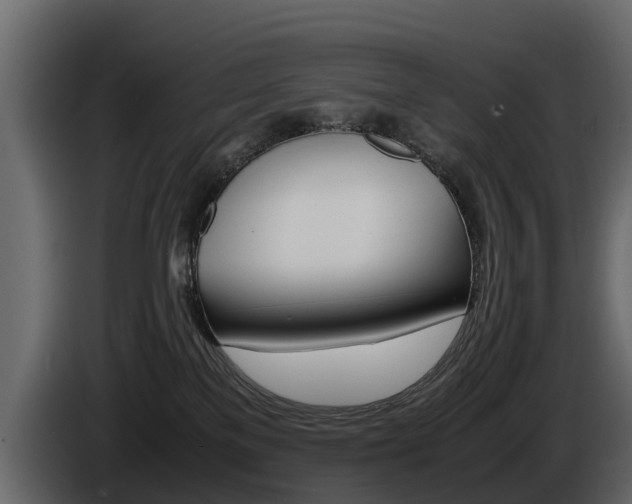 X0000086010137200703230919
