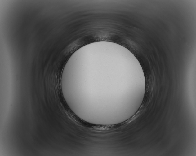 X0000086010140200703230919