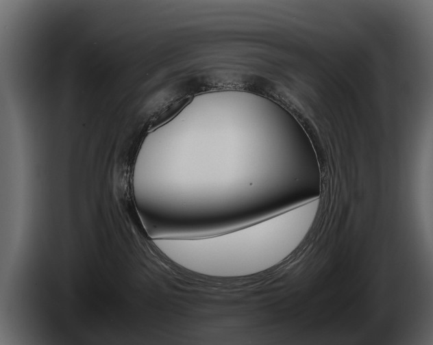 X0000086010141200703230919
