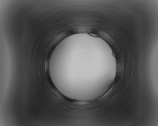 X0000086010142200703230919