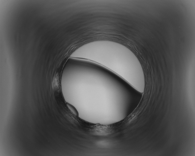 X0000086010143200703230919