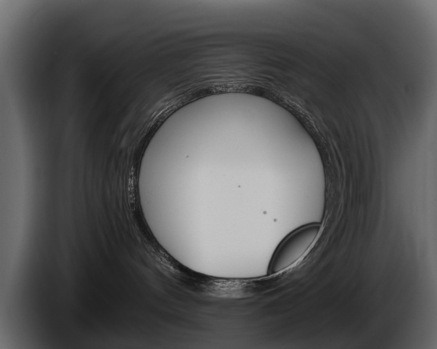 X0000086010144200703230919