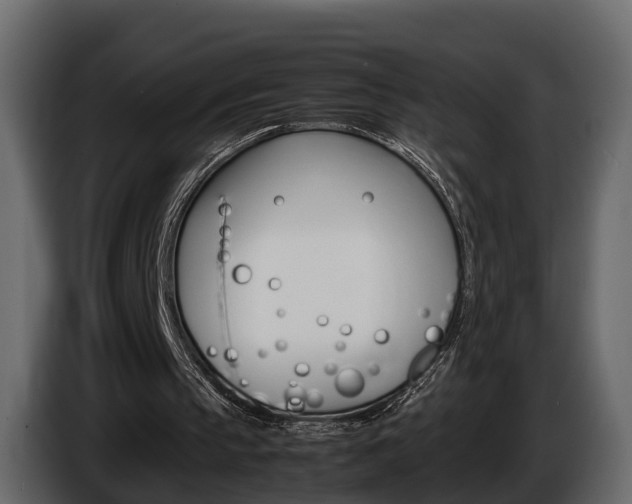 X0000086010145200703230918
