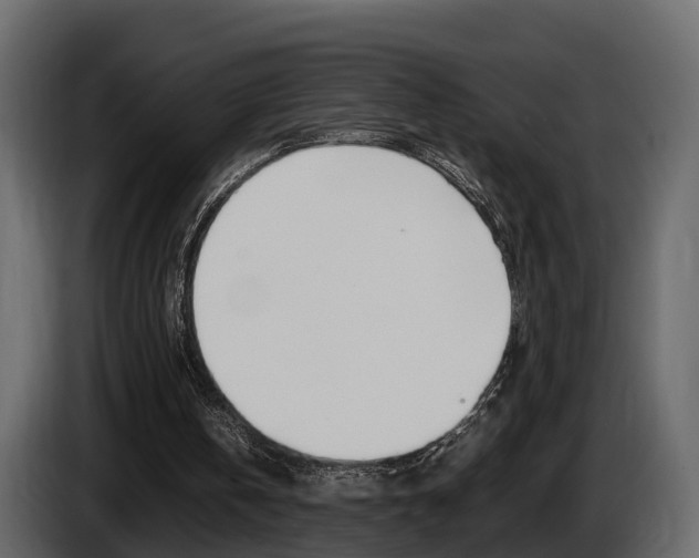 X0000086010146200703230918