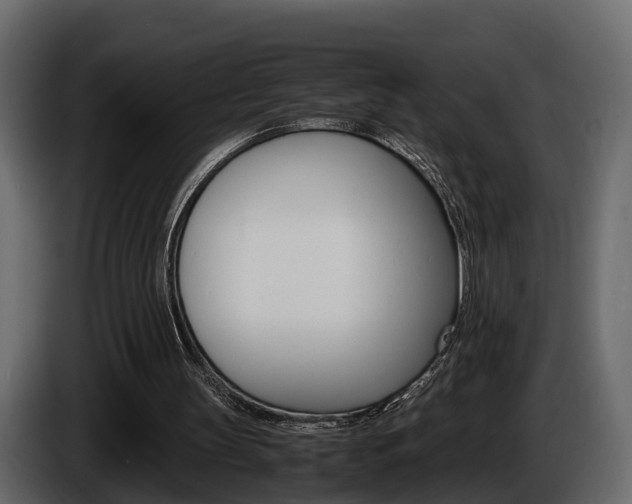 X0000086010147200703230918