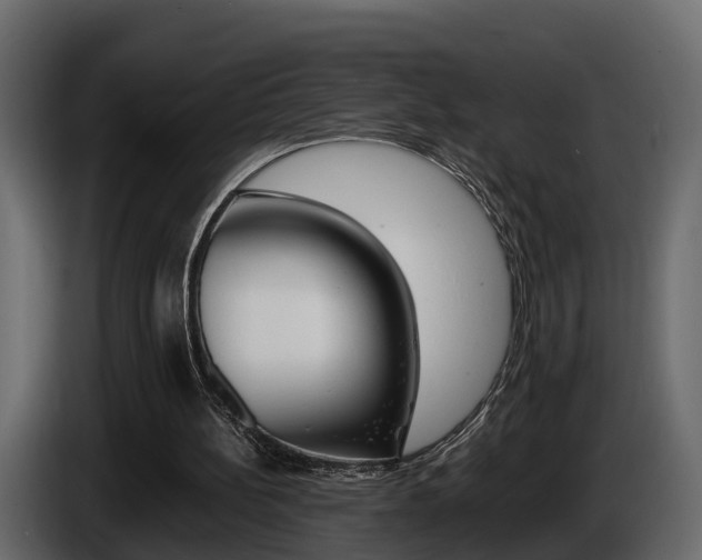 X0000086010148200703230918