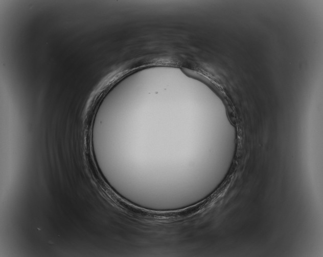 X0000086010149200703230918