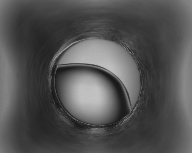 X0000086010150200703230918