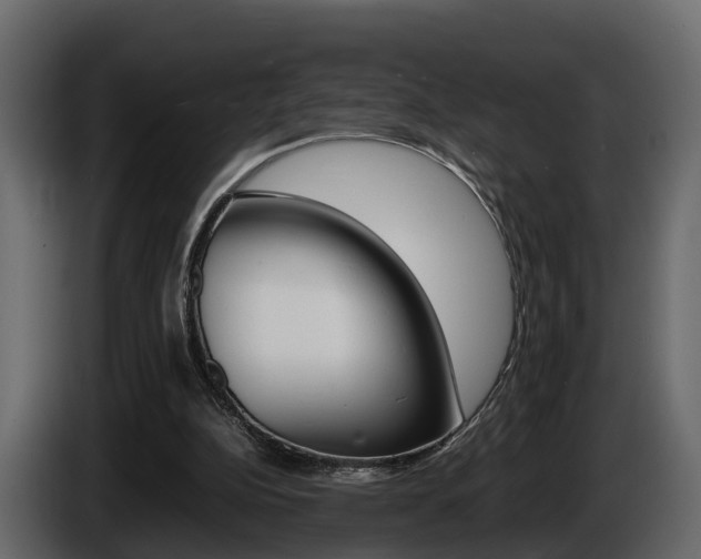 X0000086010152200703230918