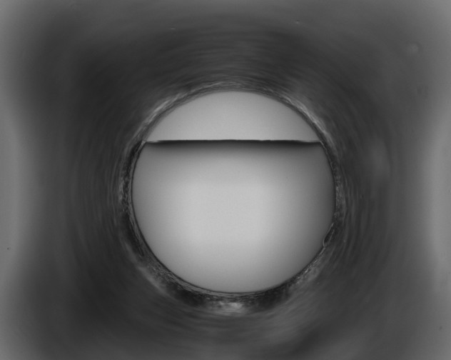 X0000086010159200703230918