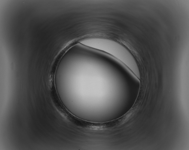 X0000086010160200703230918
