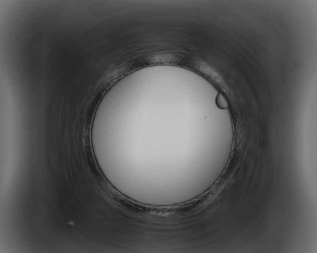 X0000086010161200703230918