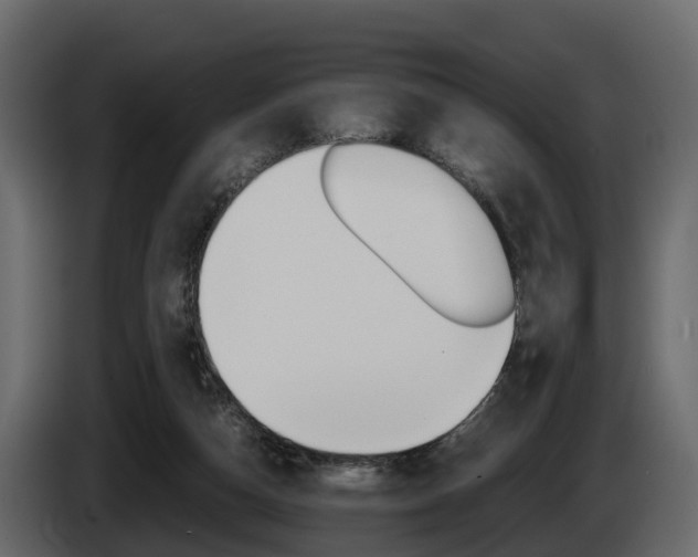 X0000086010162200703230918
