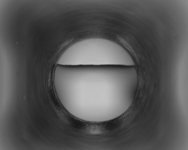 X0000086010163200703230918