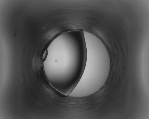 X0000086010164200703230918