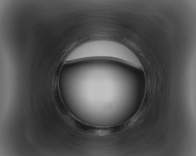 X0000086010168200703230918