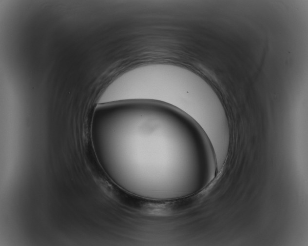 X0000086010170200703230918