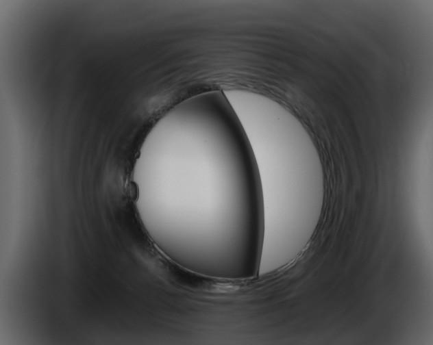 X0000086010176200703230919